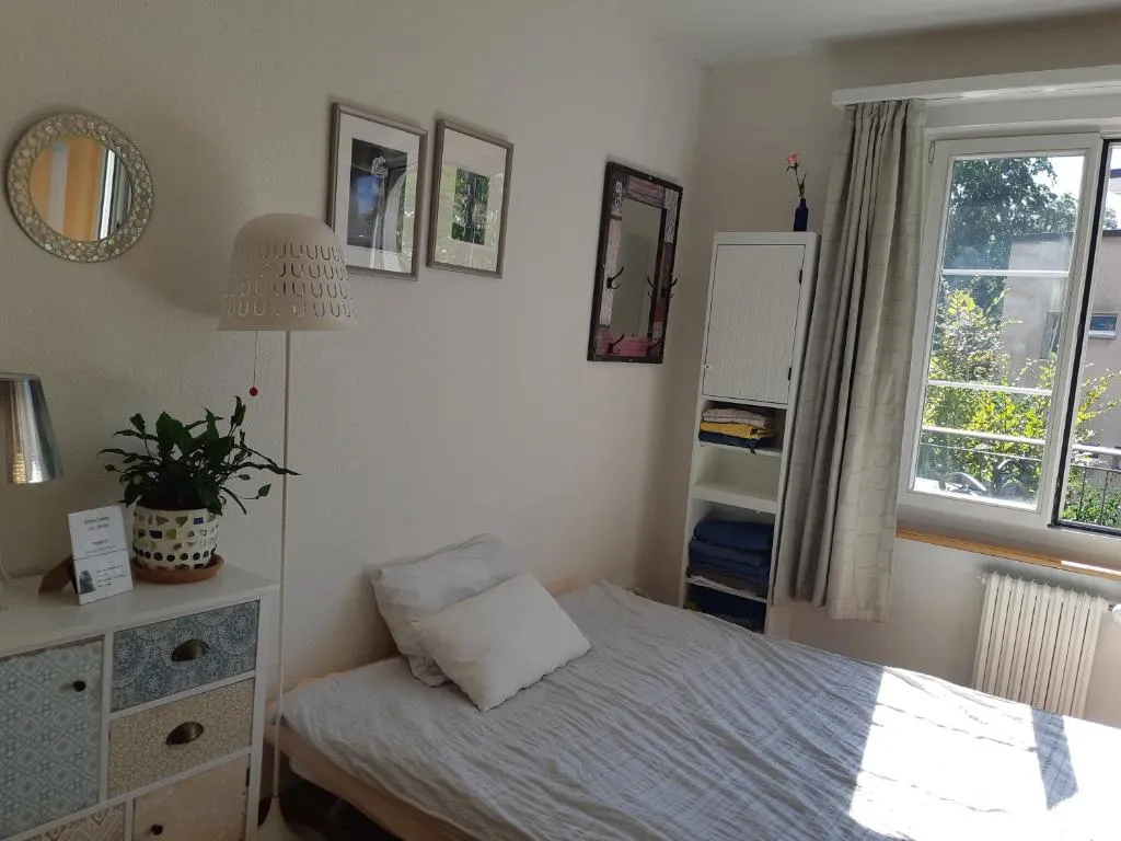 Image of Central quiet and cosy apartment near Hallenstadion