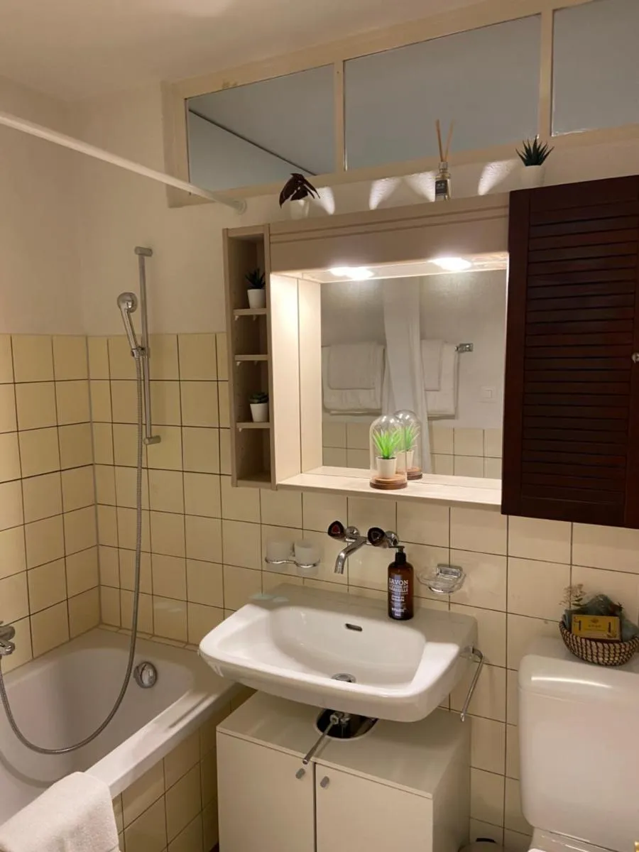 Image 4 of Comfort 1 and 2BDR Apartment close to Zurich Airport