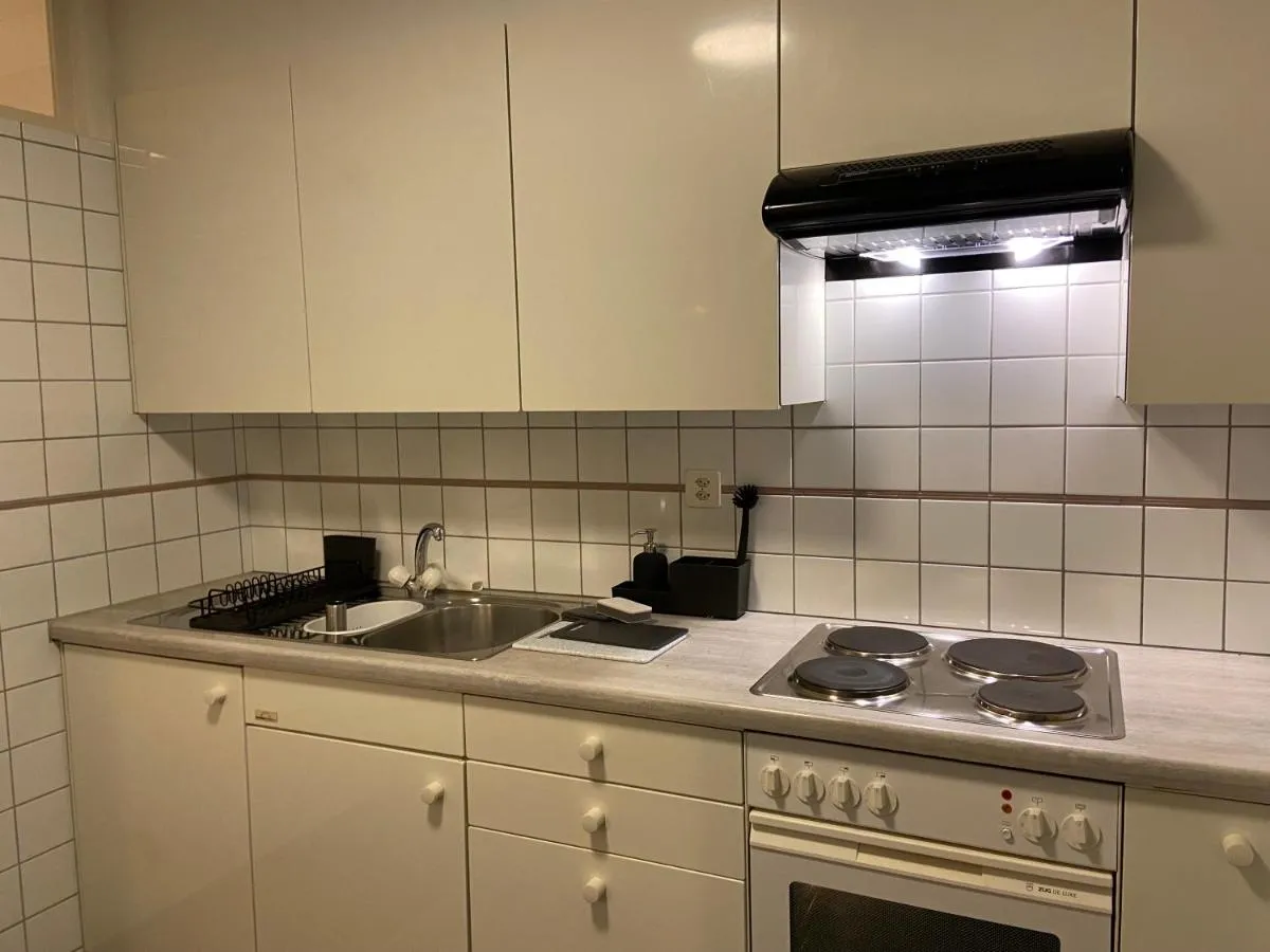 Image 2 of Comfort 1 and 2BDR Apartment close to Zurich Airport