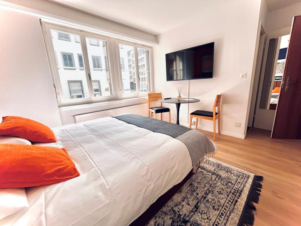 Cozy Studio Apartment Unit 11 in Center of Zurich