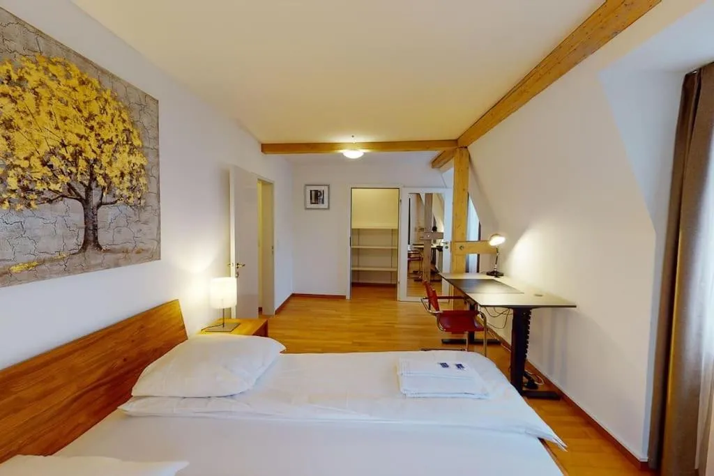 Image 1 of Penthouse flat in the city center/near lake (SF18)