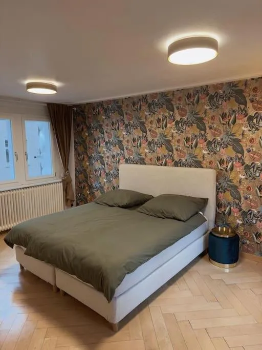 Image 1 of Süsse Wohnung in Zürcher Altstadt 3