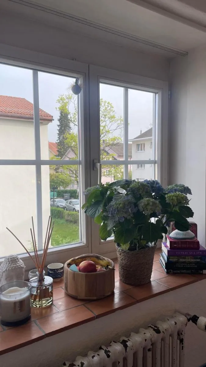 Image 5 of Taylor Swift Apartment – 20 mins from concert